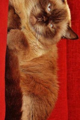 Book cover for British Shorthair Cat Looking Grumpy on a Red Couch Journal