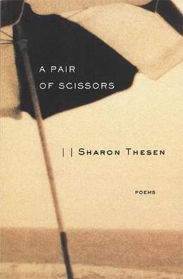 Book cover for A Pair of Scissors