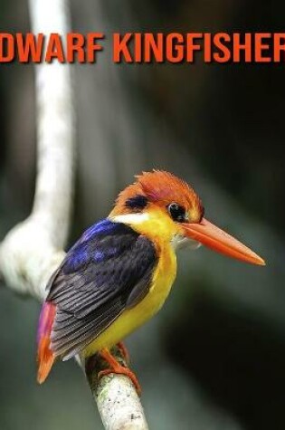 Cover of Dwarf Kingfisher