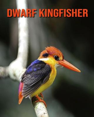 Book cover for Dwarf Kingfisher
