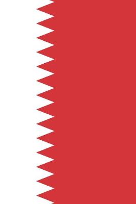 Book cover for Bahrain Travel Journal - Bahrain Flag Notebook - Bahraini Flag Book