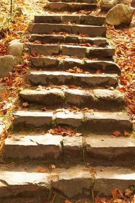 Cover of 12 Step Journal Twelve Steps Program Stone Stairs