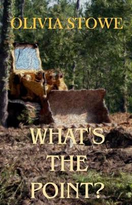 Book cover for What's The Point?