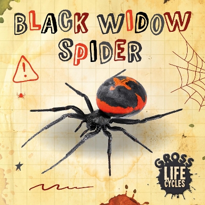 Book cover for Black Widow Spider