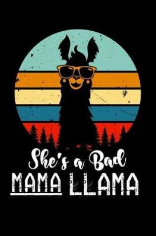 Cover of She's a Bad Mama Llama !