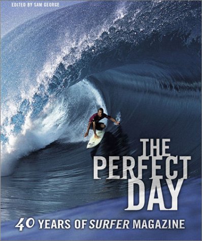 Book cover for The Perfect Day