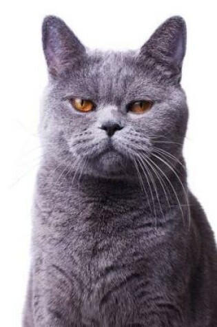 Cover of Gray or Grey British Shorthair Cat Portrait Journal