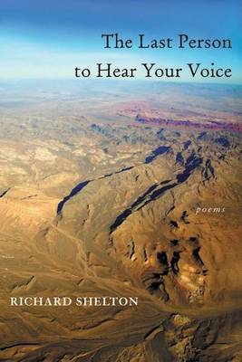 Book cover for Last Person to Hear Your Voice