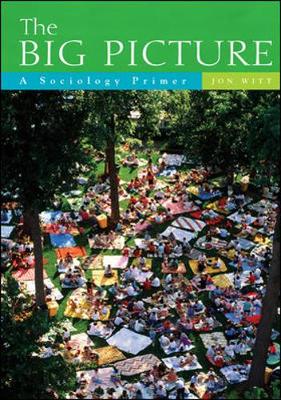 Book cover for The Big Picture