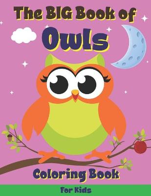 Book cover for The Big Book of Owls