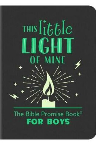 Cover of This Little Light of Mine: The Bible Promise Book for Boys