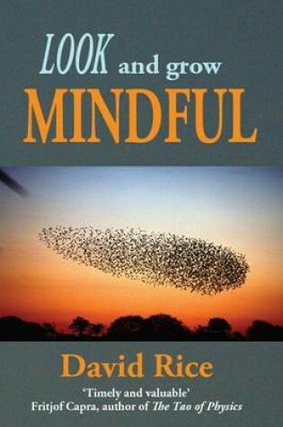 Cover of Look and Grow Mindful