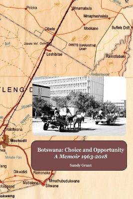 Book cover for Botswana: Choice and Opportunity