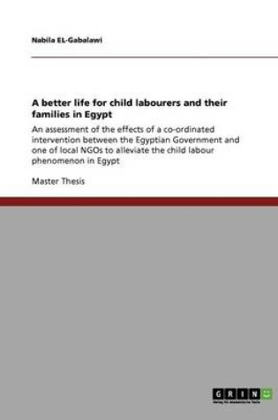 Cover of A better life for child labourers and their families in Egypt