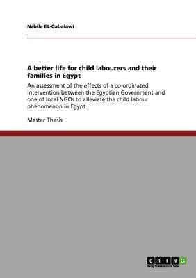 Book cover for A better life for child labourers and their families in Egypt