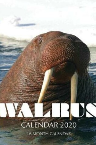 Cover of Walrus Calendar 2020