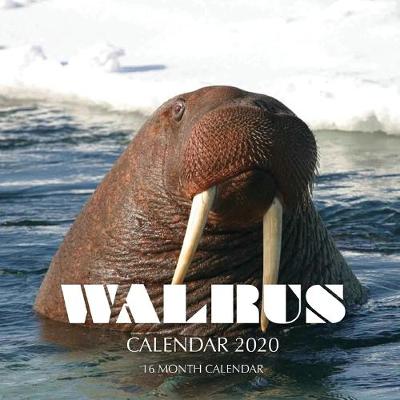 Book cover for Walrus Calendar 2020