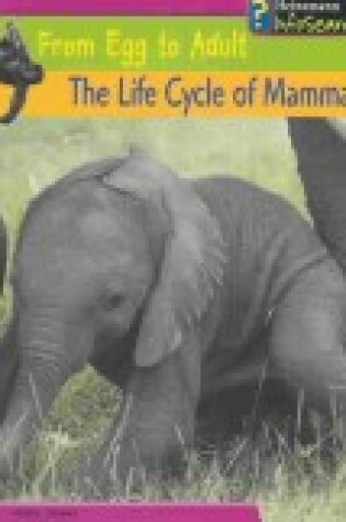 Cover of The Life Cycle of Mammals