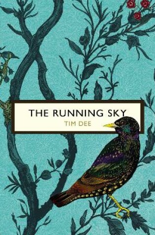 Cover of The Running Sky (The Birds and the Bees)