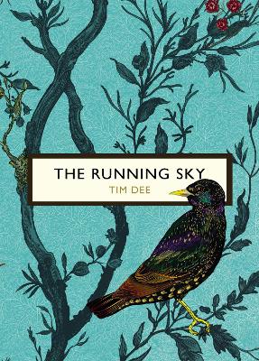 Book cover for The Running Sky (The Birds and the Bees)