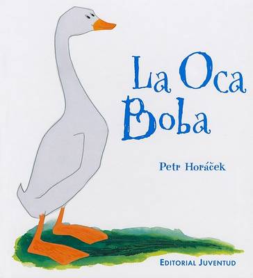 Book cover for Primary picture books - Spanish