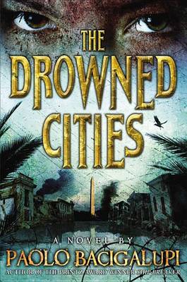 Book cover for The Drowned Cities
