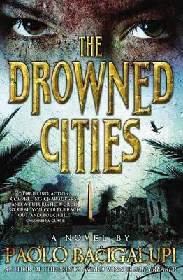 Book cover for The Drowned Cities