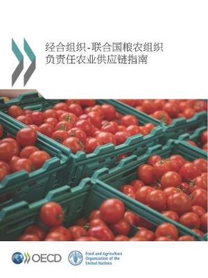 Book cover for Oecd-Fao Guidance for Responsible Agricultural Supply Chains (Chinese Version)