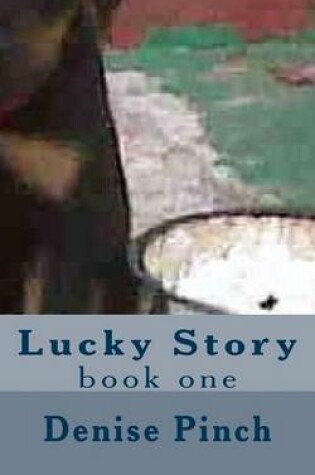 Cover of Lucky Story