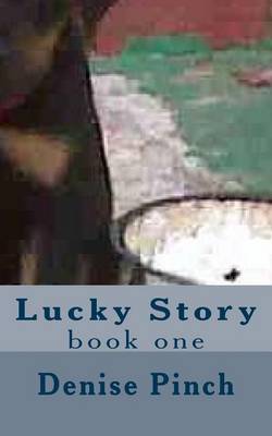Book cover for Lucky Story