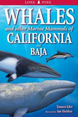 Cover of Whales and Other Marine Mammals of California and Baja