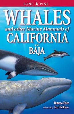 Book cover for Whales and Other Marine Mammals of California and Baja