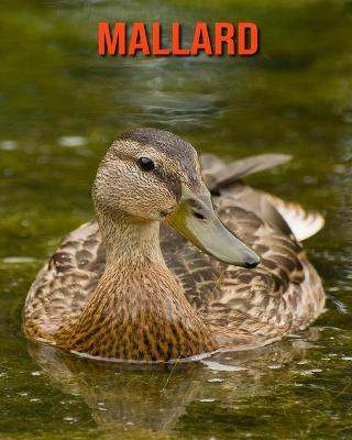 Book cover for Mallard