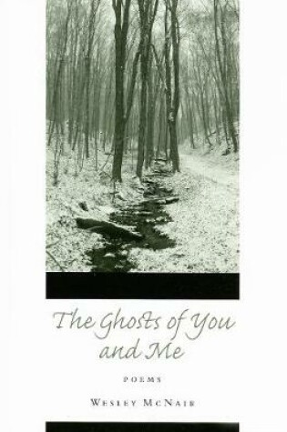 Cover of Ghosts of You and Me