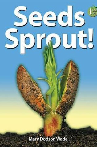 Cover of Seeds Sprout!