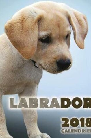 Cover of Labrador 2018 Calendrier (Edition France)