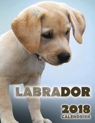 Book cover for Labrador 2018 Calendrier (Edition France)