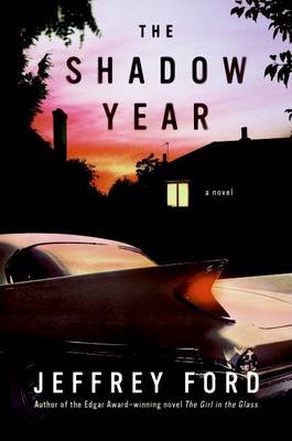 Book cover for The Shadow Year