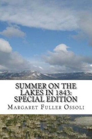 Cover of Summer on the Lakes in 1843