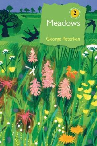 Cover of Meadows