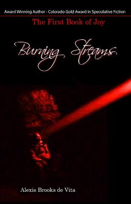 Book cover for Burning Streams