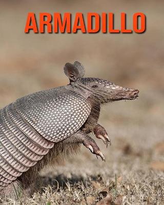 Book cover for Armadillo