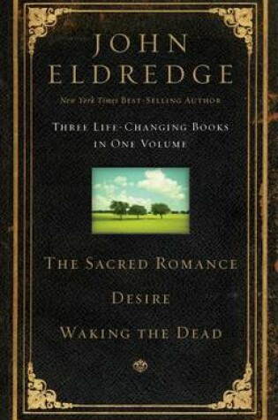Cover of Eldredge 3 in 1 - Sacred Romance, Waking the Dead, and Desire