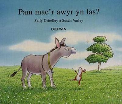 Book cover for Pam Mae'r Awyr yn Las?