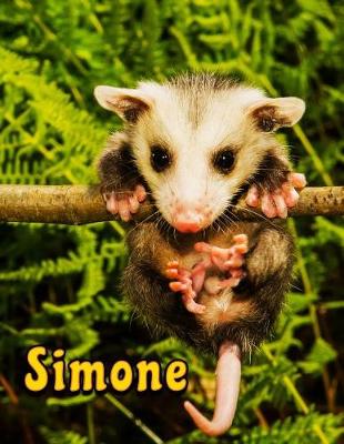 Book cover for Simone