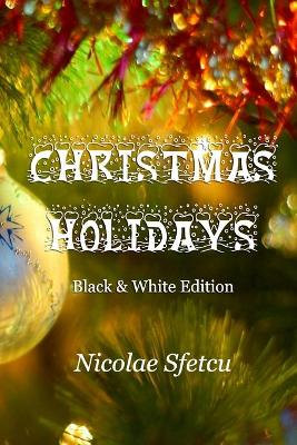 Book cover for Christmas Holidays