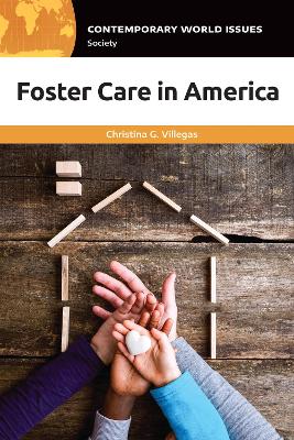 Book cover for Foster Care in America