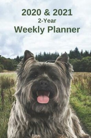 Cover of 2020 & 2021 Weekly Planner - Two Year Appointment Book Gift - Two-Year Agenda Notebook for Cairn Terrier Dog Owners