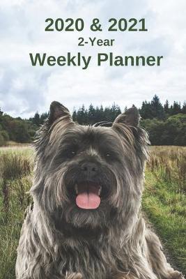 Book cover for 2020 & 2021 Weekly Planner - Two Year Appointment Book Gift - Two-Year Agenda Notebook for Cairn Terrier Dog Owners