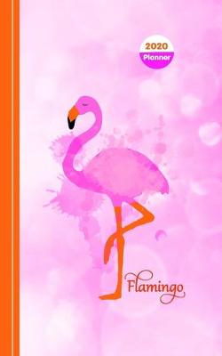 Book cover for Flamingo School Days
